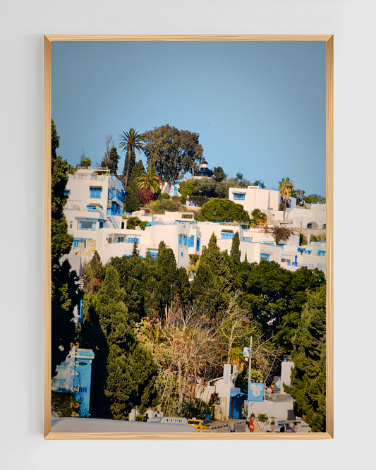 Sidi Bou Said