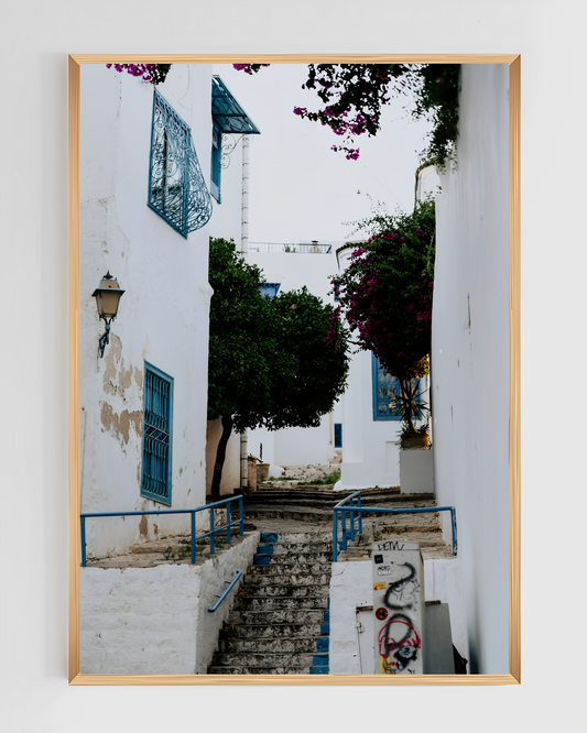 Sidi Bou Said