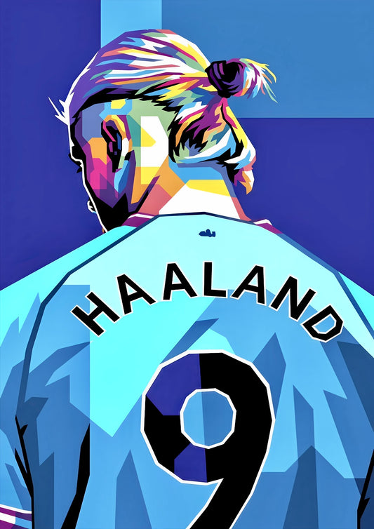 Haaland poster