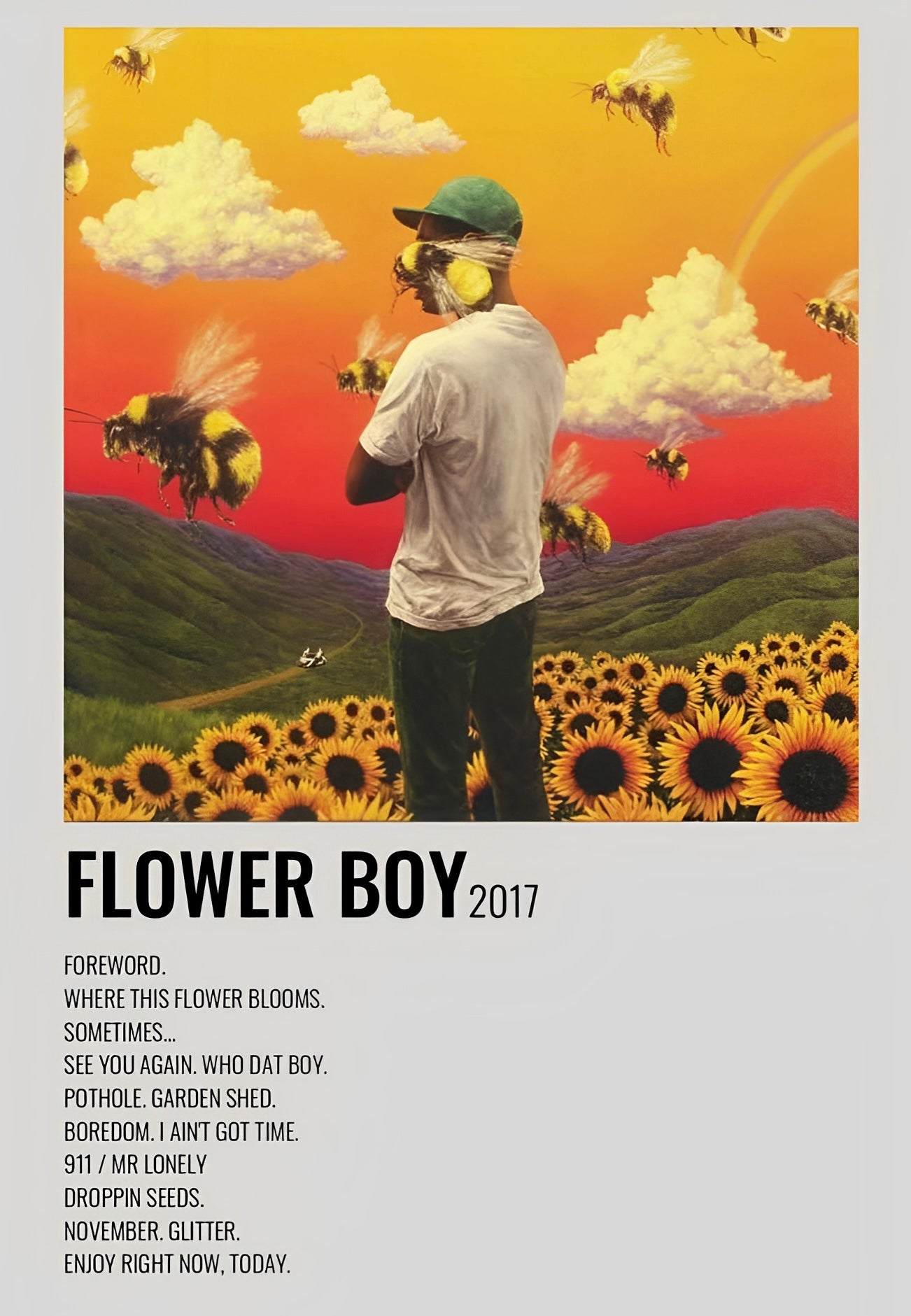 FLOWER BOY album cover