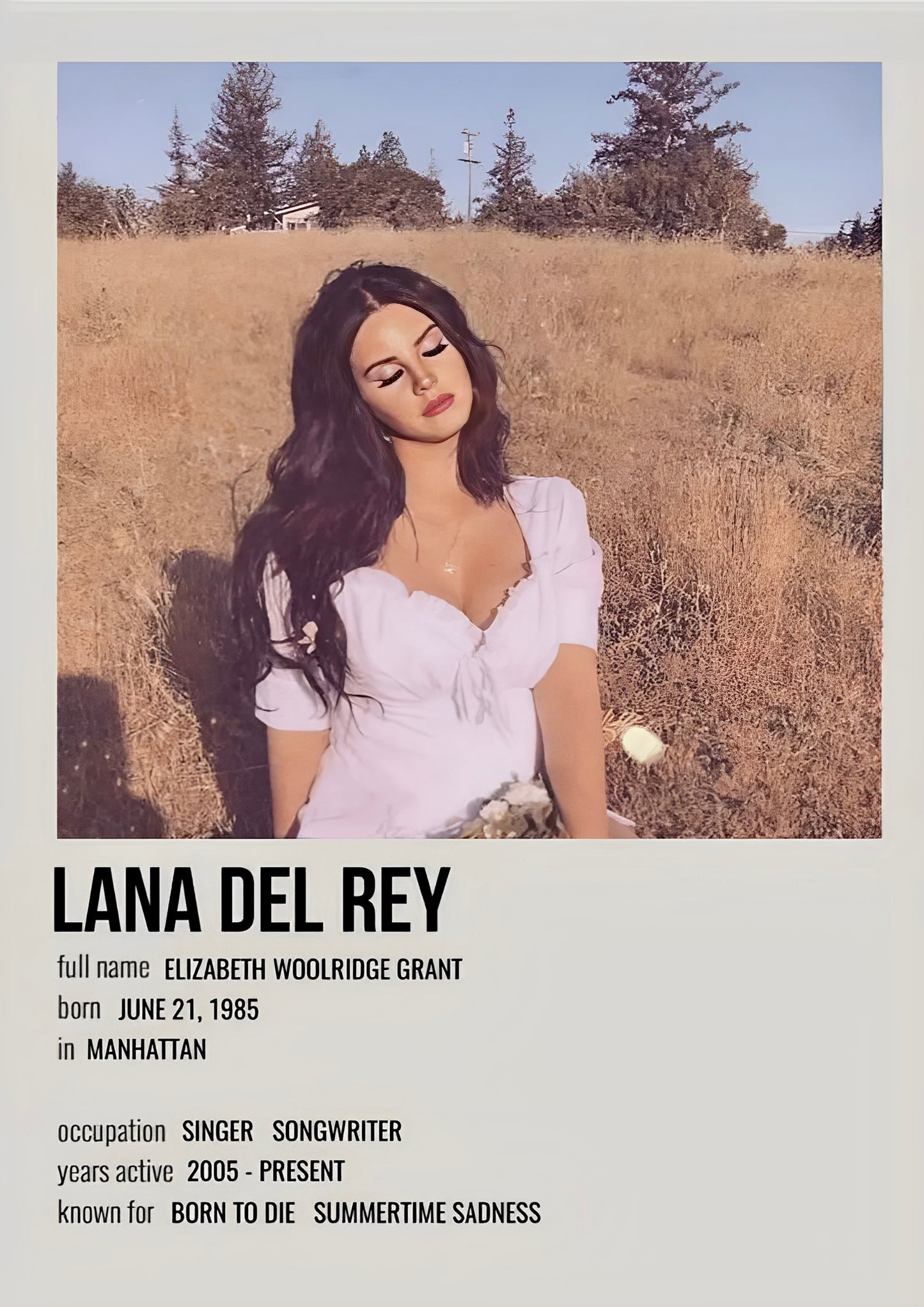 LANA DEL REY album cover